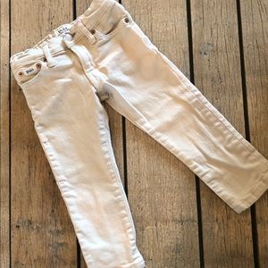 Polo cream denim pant